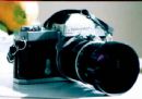 Photo Gallery